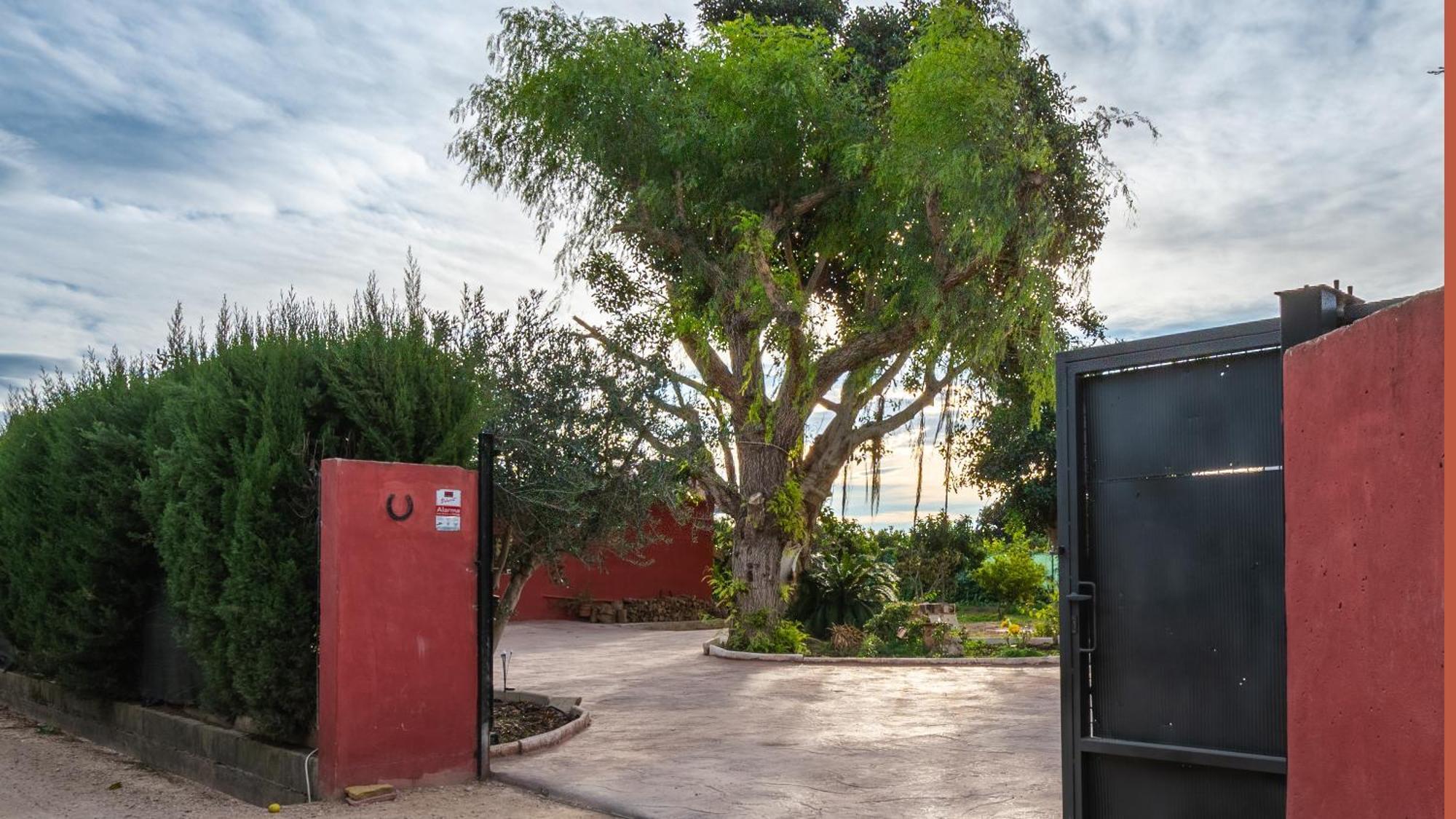 Orange Blossom Finca Unique Valencie Exteriér fotografie